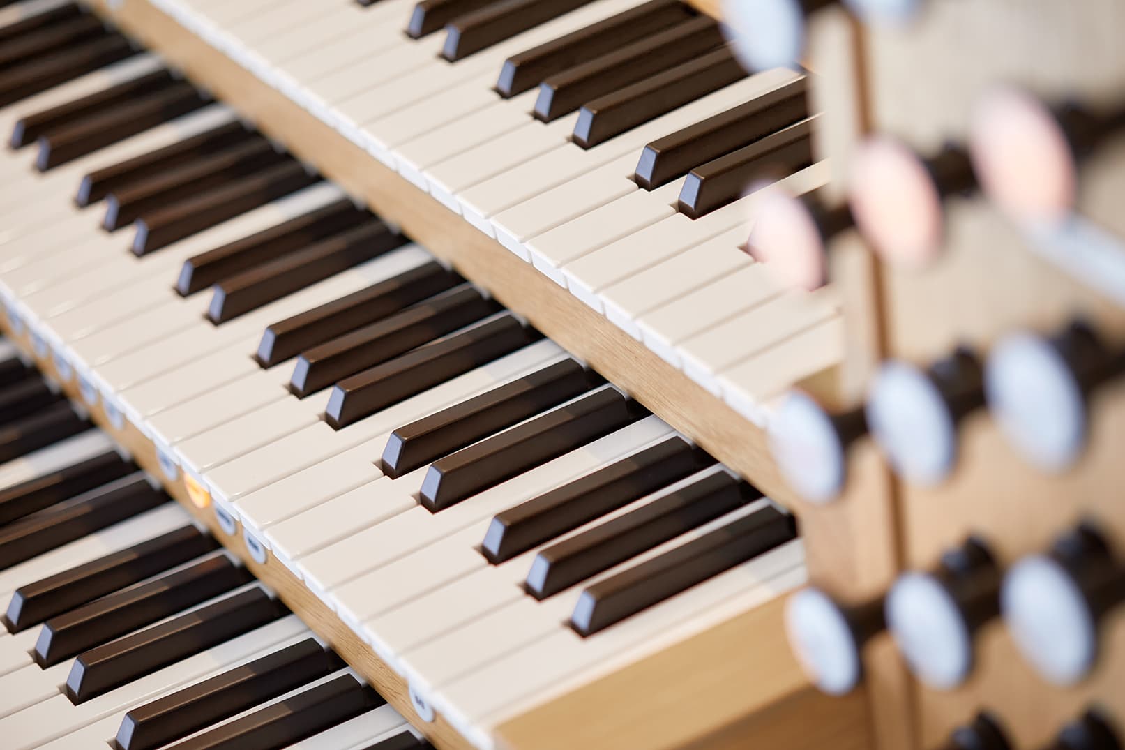 Live 3p orgel